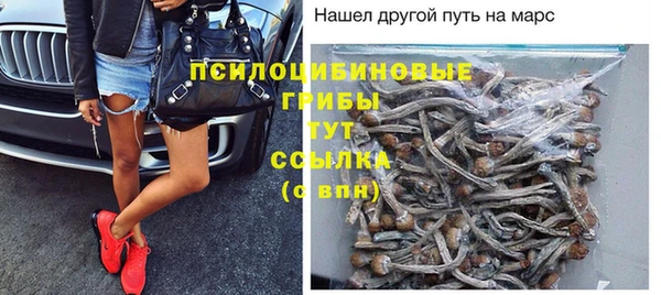 прущие грибы Волосово