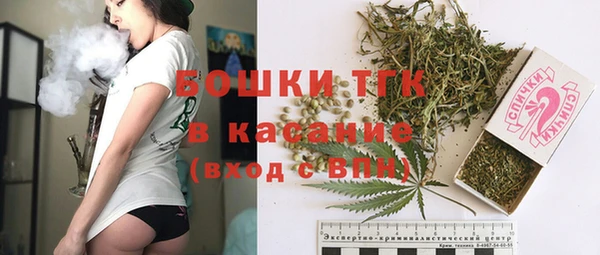 прущие грибы Волосово