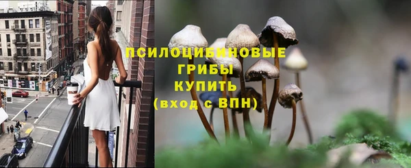 прущие грибы Волосово