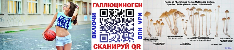 Псилоцибиновые грибы мухоморы Славянск-на-Кубани