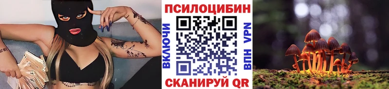 Псилоцибиновые грибы Cubensis  купить закладку  KRAKEN   Славянск-на-Кубани 